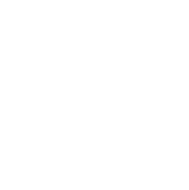 Solar inverter